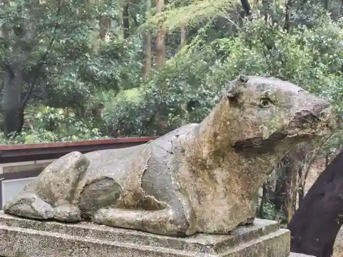 高天神社の狛犬