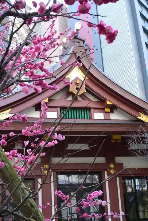 蒲田八幡神社の自然