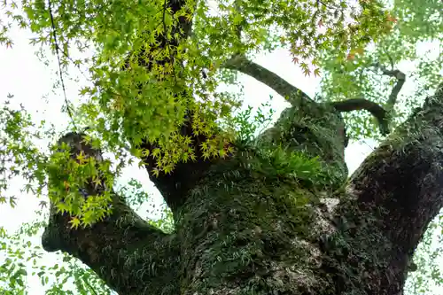 住吉神社(山口県)