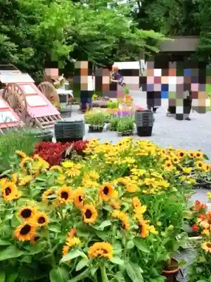 阿佐ヶ谷神明宮(東京都)