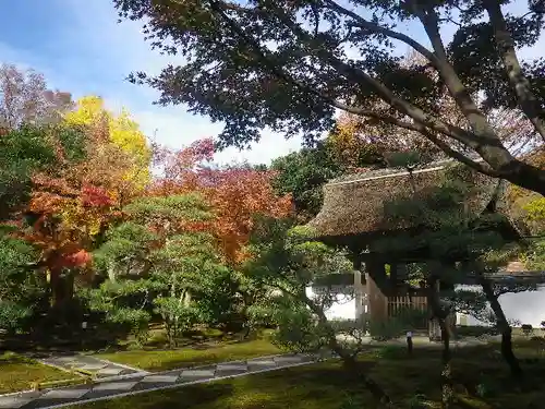 長壽寺（長寿寺）の山門・神門