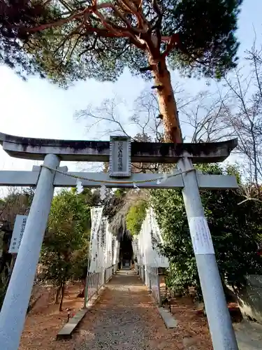 開成山大神宮の鳥居