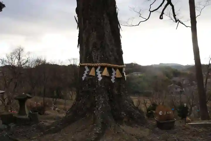 阿久津「田村神社」(郡山市阿久津町)旧社名:伊豆箱根三嶋三社の自然