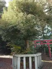 白根神社(新潟県)