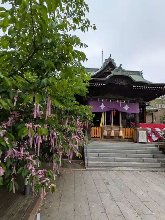 桜神宮(東京都)