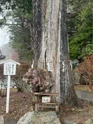 中禅寺(栃木県)