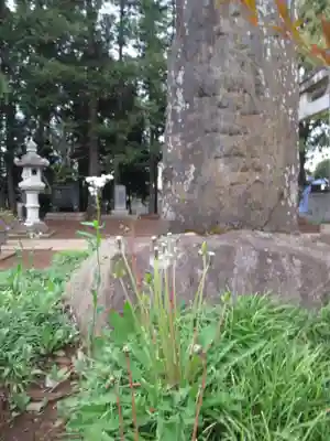 伏木香取神社(茨城県)