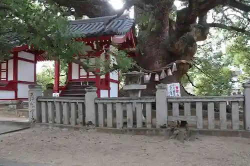 善通寺の建物その他