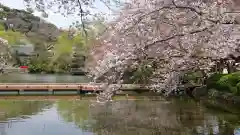 鶴岡八幡宮(神奈川県)