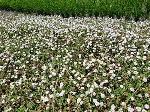 駒方神社の自然