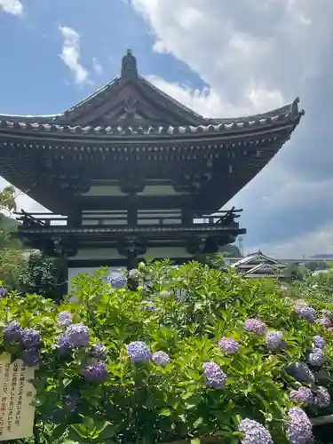 観音寺(京都府)