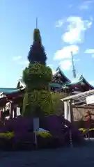 亀戸天神社の庭園