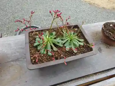妙蓮寺(神奈川県)