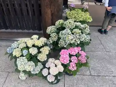 長谷寺(奈良県)