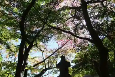 功山寺(山口県)