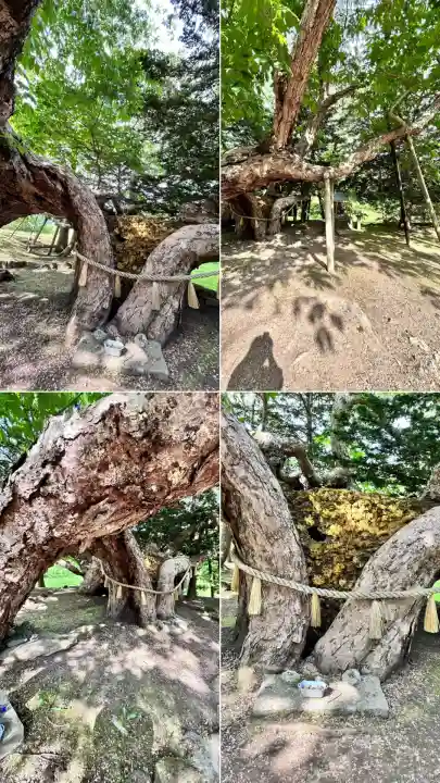 橡木山白木神社(北海道)