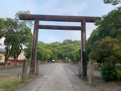 鹿児島神宮の鳥居