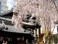 頂法寺（六角堂）(京都府)