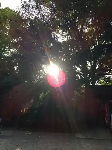 賀茂御祖神社（下鴨神社）のその他建物
