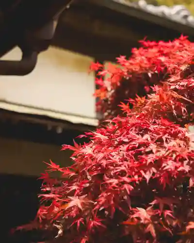 一瓶塚稲荷神社(栃木県)