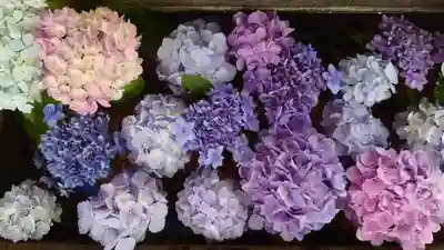 法輪寺の手水舎