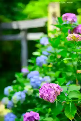 太平山神社(栃木県)