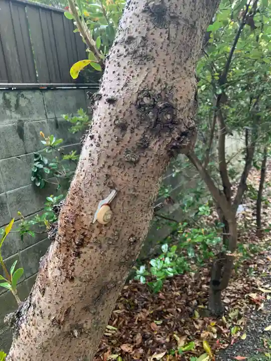 日前神宮・國懸神宮(和歌山県)