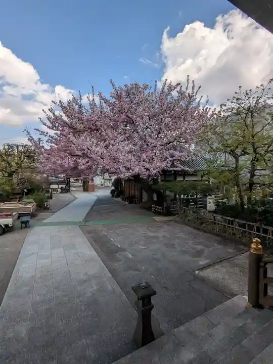 感通寺のその他建物