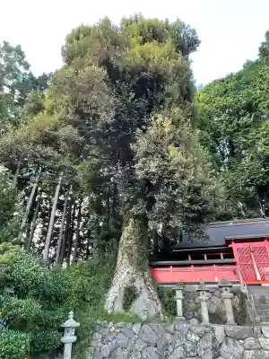 春日神社(榛原栗谷)(奈良県)
