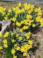 菅原神社(岩手県)
