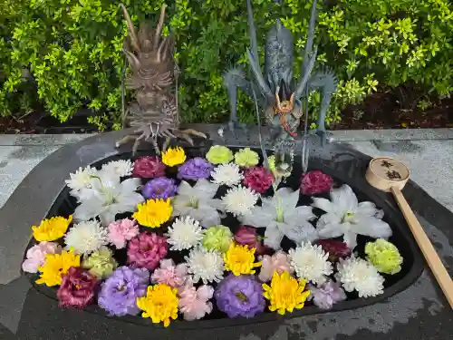 駒込妙義神社(東京都)