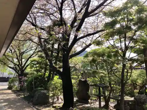 龍眼寺（萩寺）の庭園