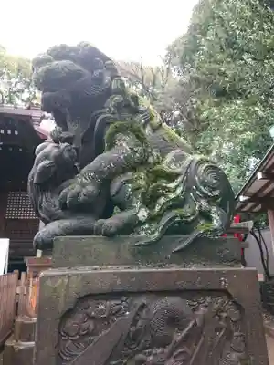 代々木八幡宮の狛犬