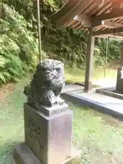 富岡八幡宮の狛犬