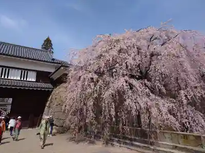 眞田神社(長野県)