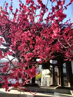 圓照寺(東京都)