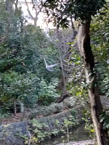 寒川神社のその他建物