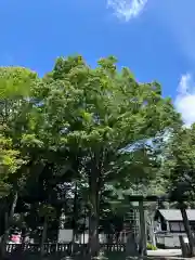 三嶋神社(山梨県)