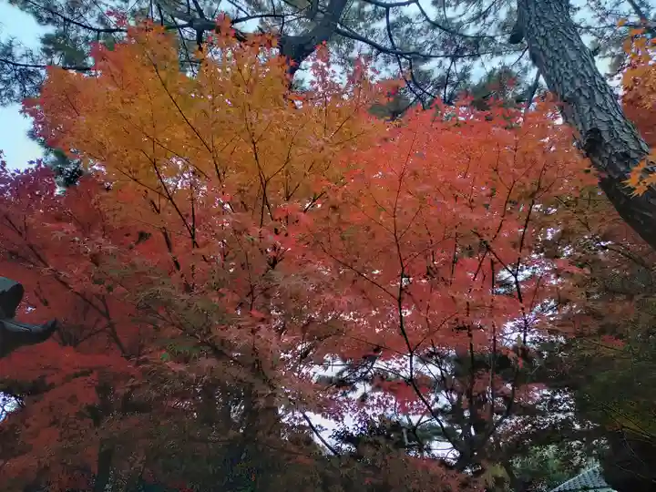阿部野神社(大阪府)