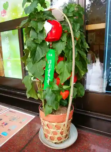 帯廣神社(北海道)