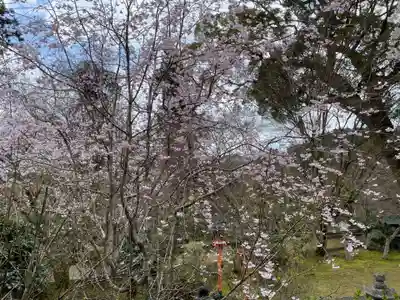 十輪寺(京都府)