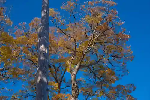 達屋酢蔵神社(長野県)