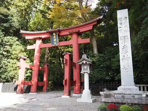 彌彦神社の鳥居