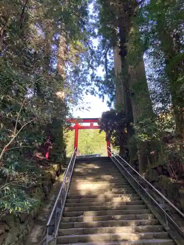 箱根神社の鳥居