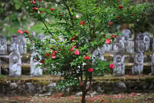 霊光寺の自然