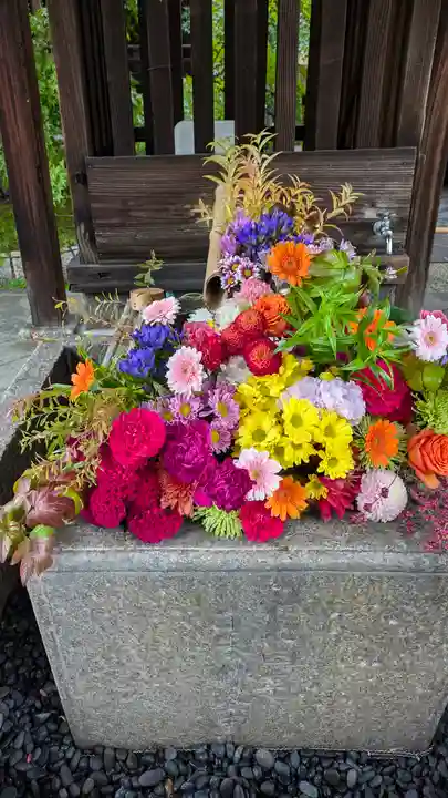 勝林寺(京都府)