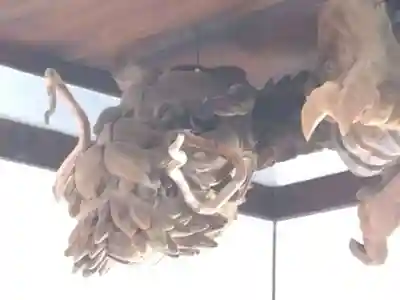 瀧尾神社の芸術