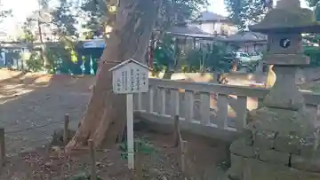 神明宮(御園)(静岡県)