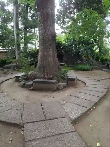 奥澤神社の庭園