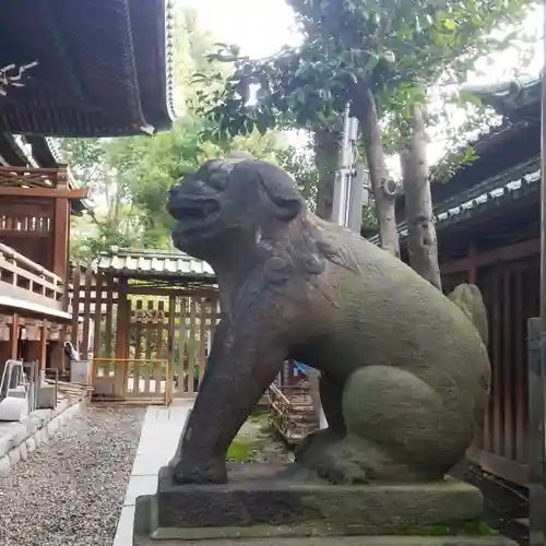 牛嶋神社の狛犬